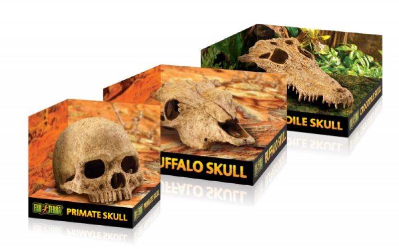 Exo Terra Skulls